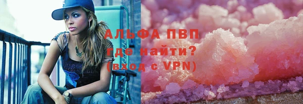 хмурый Аркадак