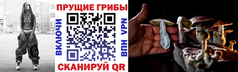 Галлюциногенные грибы мицелий  Белинский 